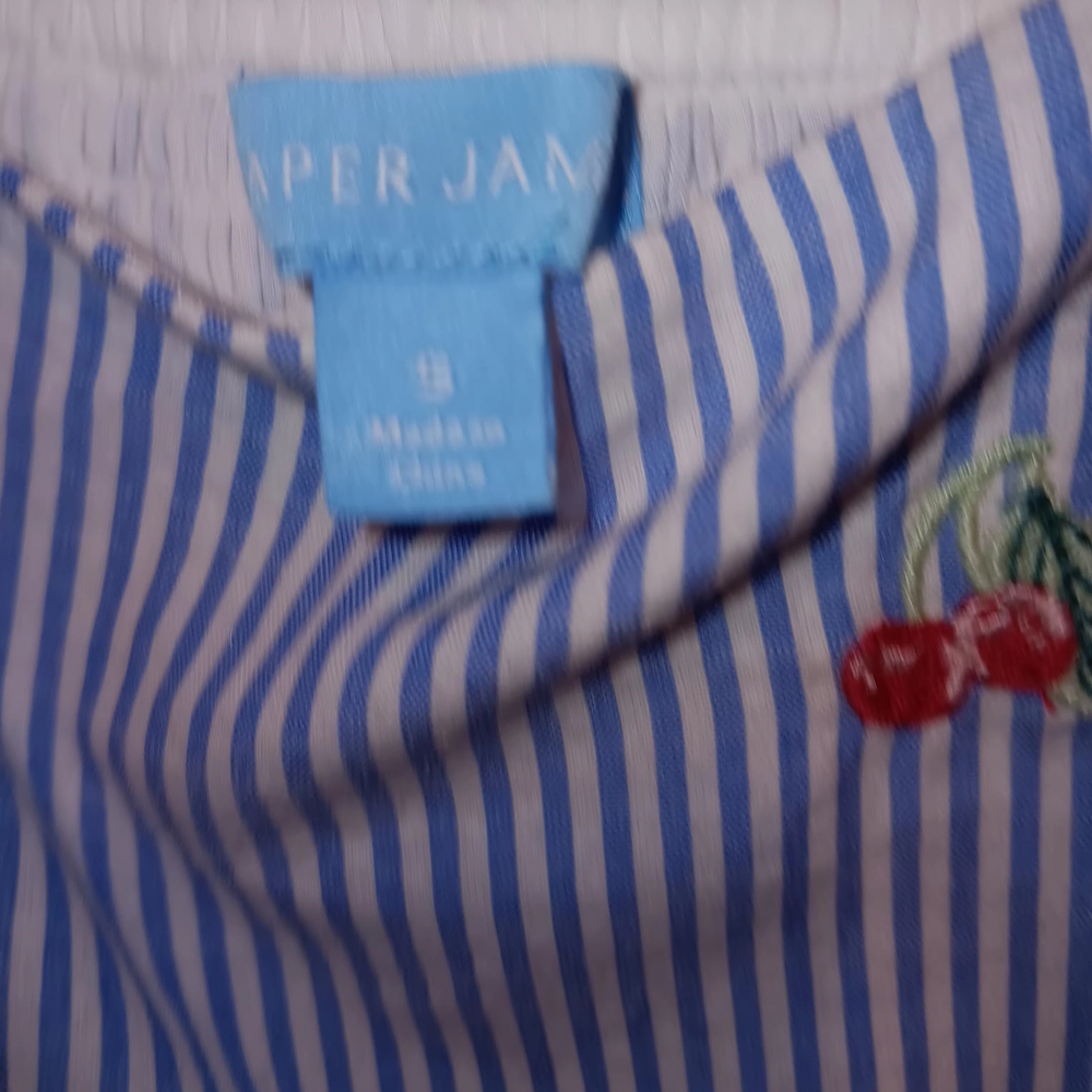 Draper James Blue and White Striped Dress with Red Floral Embroidery - Picture 2 of 6